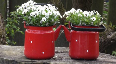 dwa czerwone kubki z kwiatami